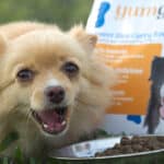 Protenga raises $2m to scale Smart Insect Farms and launch pet food brand