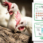 Protix releases comparative sustainability figures for its products