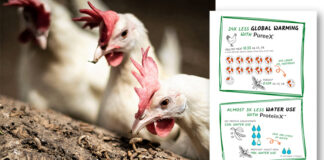 Protix releases comparative sustainability figures for its products