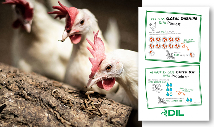 Protix releases comparative sustainability figures for its products