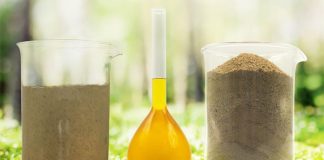 Protix unveils new LCA results for BSF