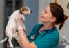 Purina donations to five leading veterinary schools