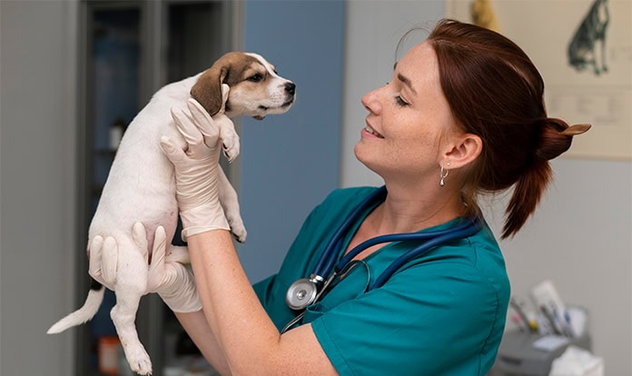 Purina donations to five leading veterinary schools