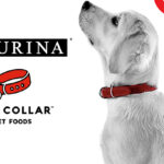 Purina to acquire Red Collar Pet Foods' treats factory