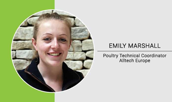 Pushing the limits of poultry production with seed, feed, weed