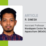 bouncing back to black – indian context