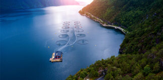 RaboResearch: Geopolitical unrest threatens global seafood trade