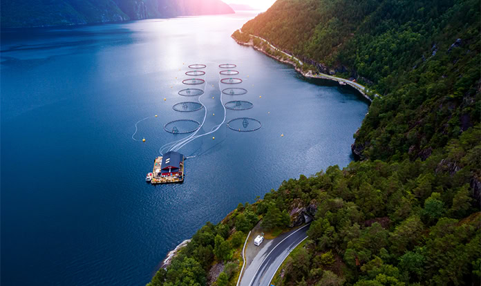 RaboResearch: Geopolitical unrest threatens global seafood trade