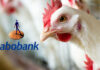 Rabobank explains challenges of poultry industry to face in 2023