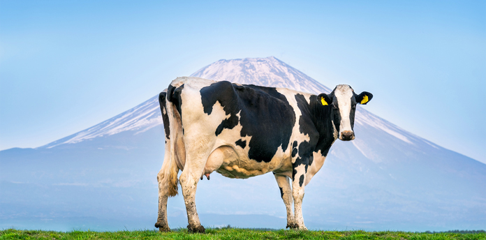 Reducing Methane Emissions from Dairy Cows Can Be Cost-Effective
