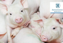 Renaissance BioScience partners VIDO for animal health