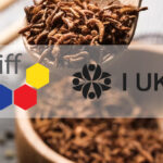 Representatives of the insect sector join forces