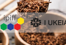 Representatives of the insect sector join forces