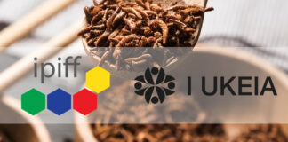 Representatives of the insect sector join forces