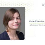 Rethinking transition cow management