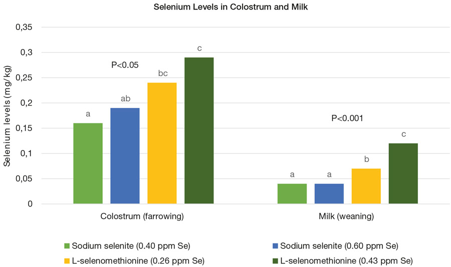 Robust Piglets: Feed solutions to support piglets’ health and performance