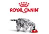 Royal Canin NA names Stanley Browning as GM of PSRO Business Unit