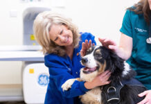 Royal Canin, University of Tennessee expand collaboration on pet obesity