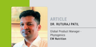 ROI: What can phytogenic feed additives deliver for broiler producers?