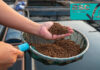 SCS approved as first certification body for ASC’s new feed certification