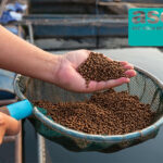 SCS approved as first certification body for ASC’s new feed certification