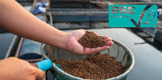 SCS approved as first certification body for ASC’s new feed certification