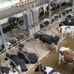 SFR clients can now request methane emission measurements