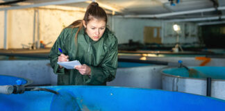 SalMar and Lerøy partner for closed aquaculture systems