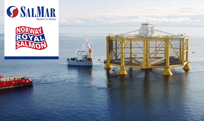 SalMar merges with Norway Royal Salmon 