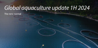 Rabobank: Salmon industry to be most profitable aquaculture sector