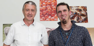 Scientists make guide for assessing gene editing