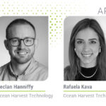 Seaweed blends: A natural route to resilient gut health in livestock