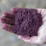 Seaweed cuts methane emissions by over 80%