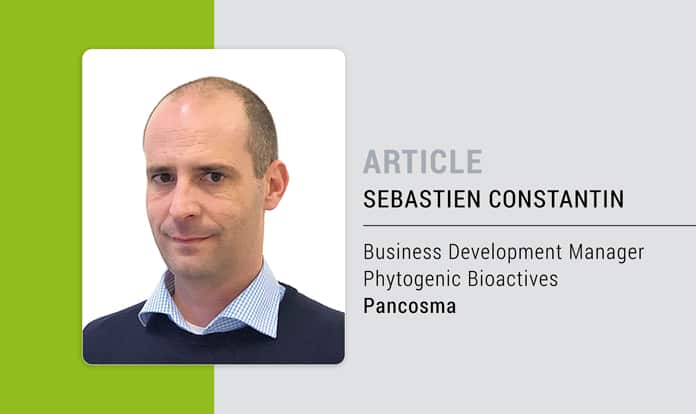 Enhancing early lactation in cows through plant extracts