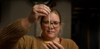 Selective breeding increases omega-3 content of microalgae