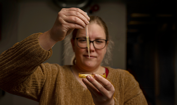 Selective breeding increases omega-3 content of microalgae