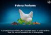 Selko launches natural performance enhancer Fytera Perform