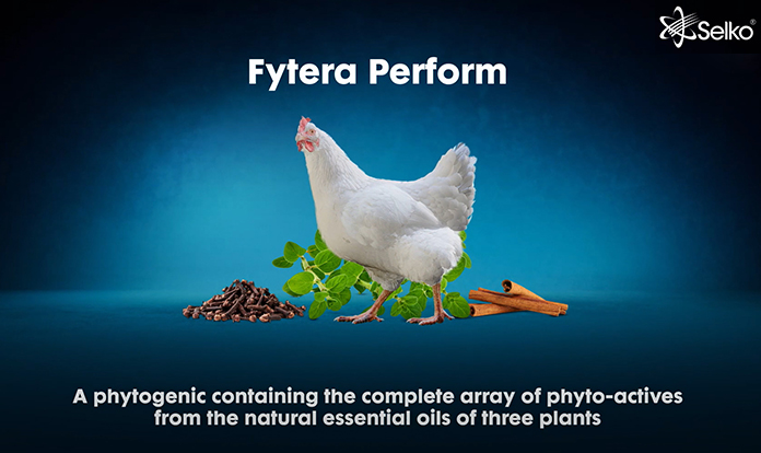 Selko launches natural performance enhancer Fytera Perform