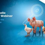 Selko prepares poultry farmers for unexpected with webinars