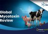 Selko reveals 2024 Global Mycotoxin Review findings