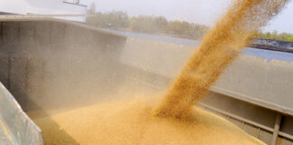 Selko's experts to share 2023 Global Mycotoxin Review