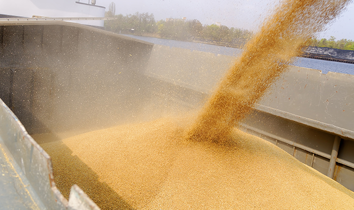 Selko's experts to share 2023 Global Mycotoxin Review