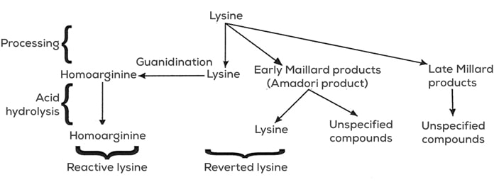 soybean meal quality