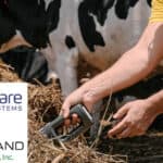 Si-Ware, Dairyland Labs partner for in-field dairy feed analysis solution
