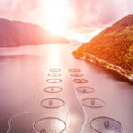 Skretting introduces Necto for fish welfare