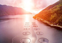 Skretting introduces Necto for fish welfare