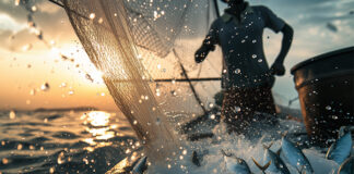 Specific dynamic action in aquaculture: A key to sustainable seafood production