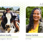 Supporting calf gut health to prevent scour