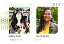 Supporting calf gut health to prevent scour