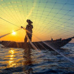 Sustainable fishing to receive €5.6M MSC funding by 2030